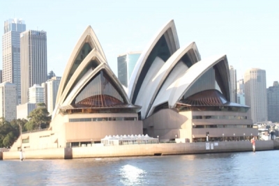 Kingfisher - Deep Sea Fishing Charters, Sydney Fishmarket